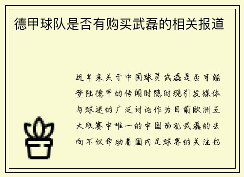 德甲球队是否有购买武磊的相关报道